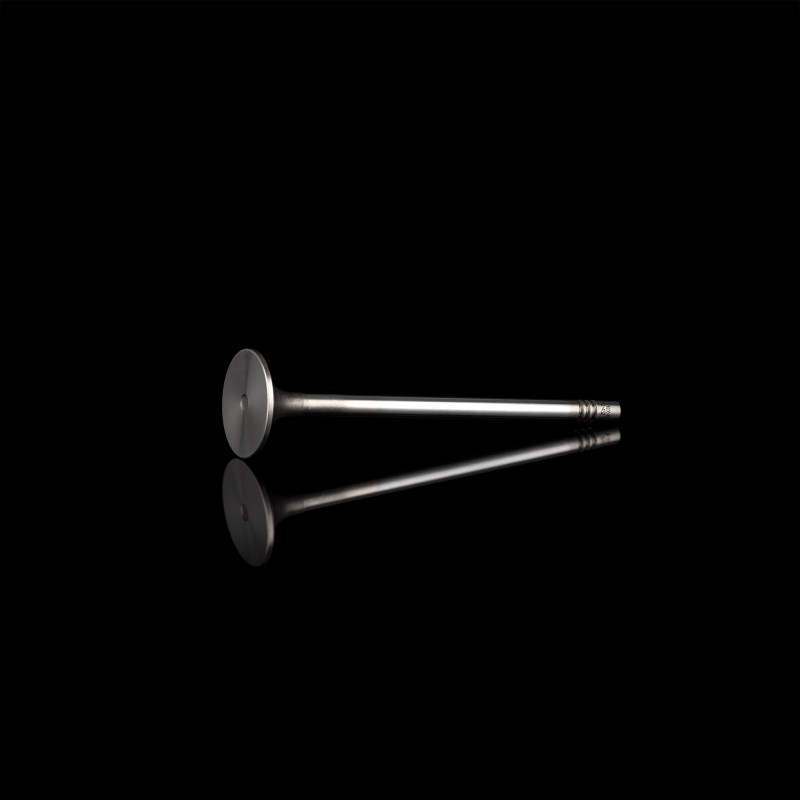 Клапан впускной LN100-1003111B